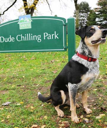 dog parks vancouver